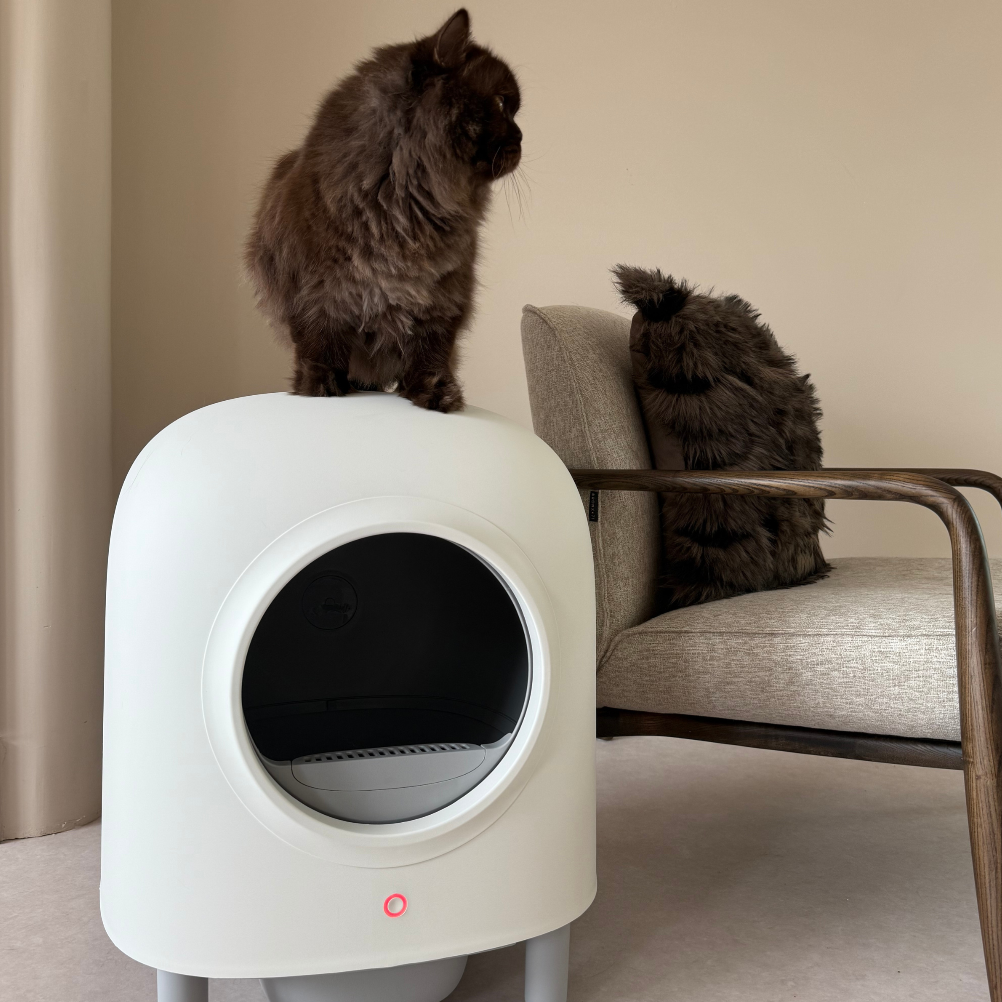 Petree Cube – Selbstreinigende Katzentoilette