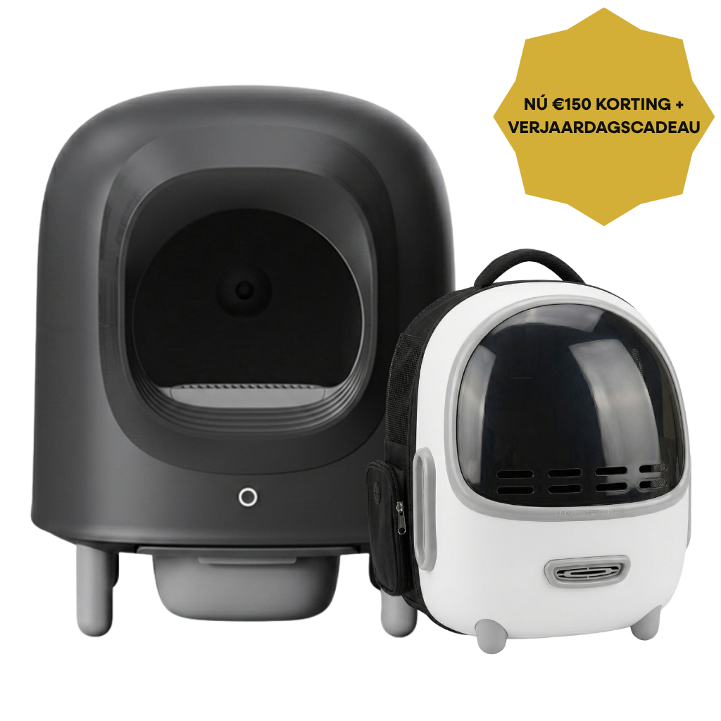 Petree Jubiläums-Bundle – Cube v2 Black Edition + Petree Go Mintgrün