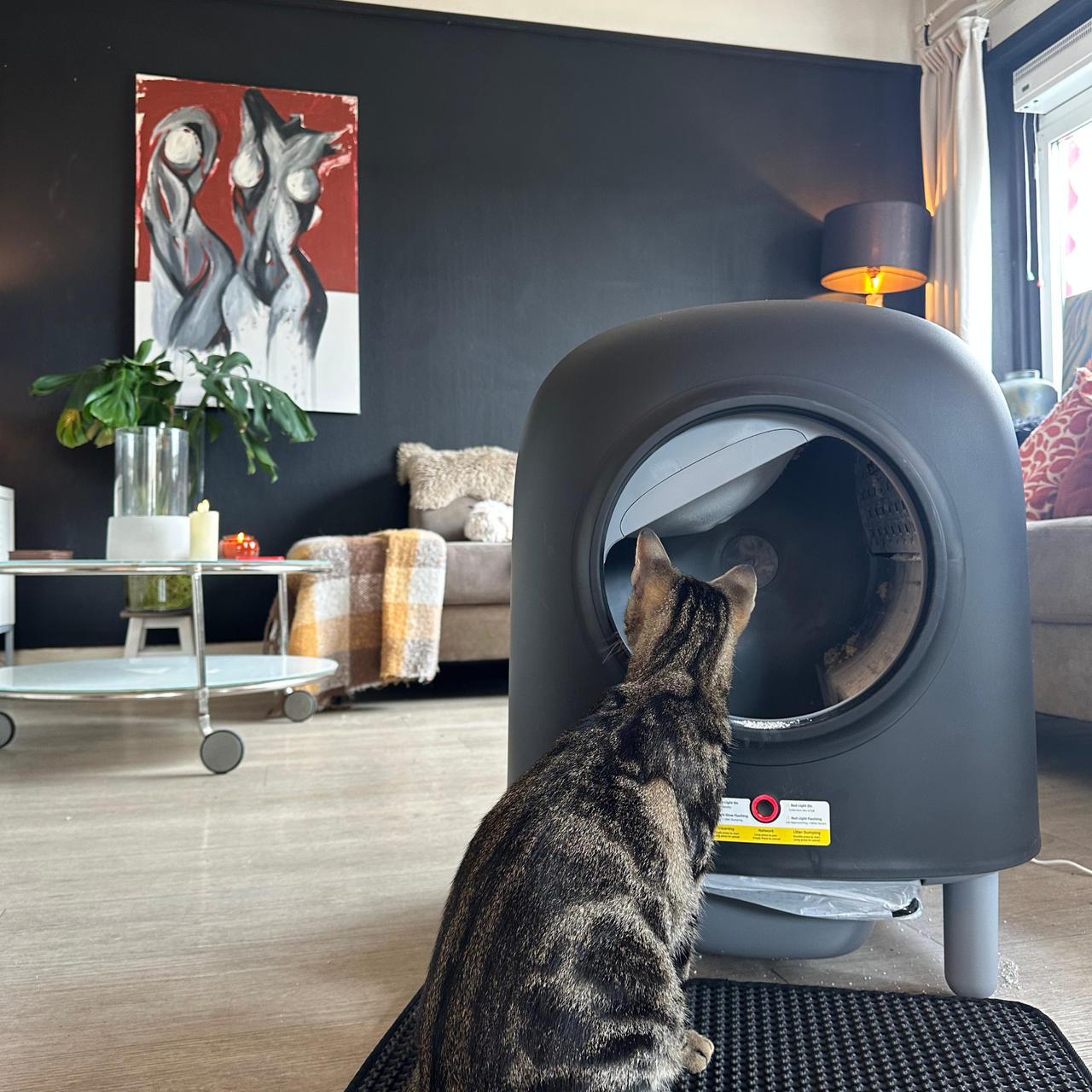 Petree Cube – Self-Cleaning Litter Box – Black Edition