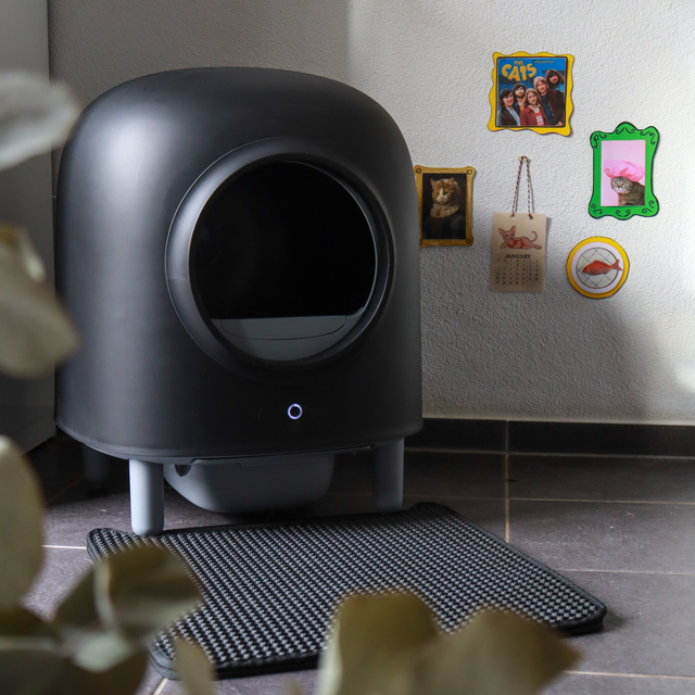 Petree Cube – Self-Cleaning Litter Box – Black Edition